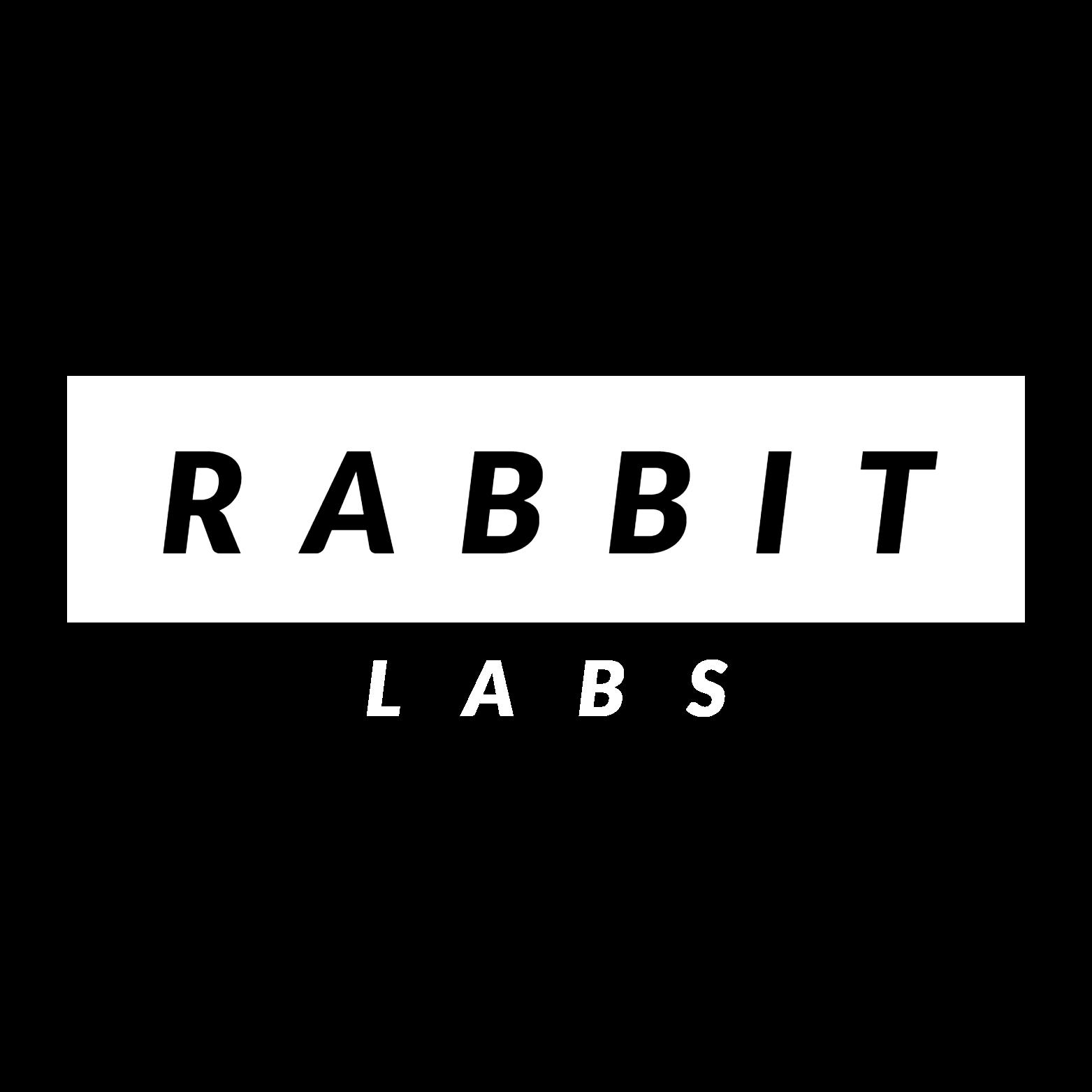 Discovery splash banner for Rabbit-Labs Discord server
