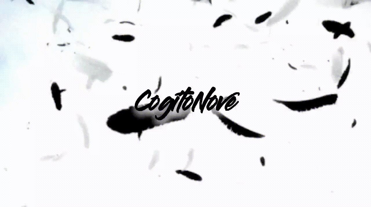 Discovery splash banner for CogitoNove Discord server