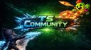 Discovery splash banner for TS Community Brawl Discord server