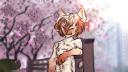 Discovery splash banner for Furry Legion・Español [8.7k] 🦊 Discord server