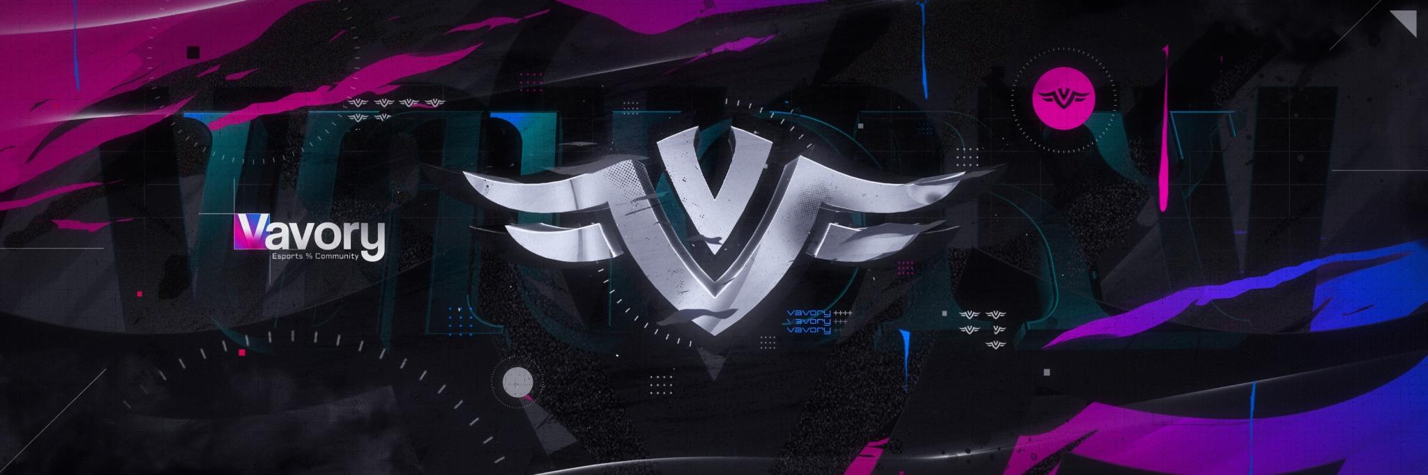 Discovery splash banner for Team Vavory | DE Discord server
