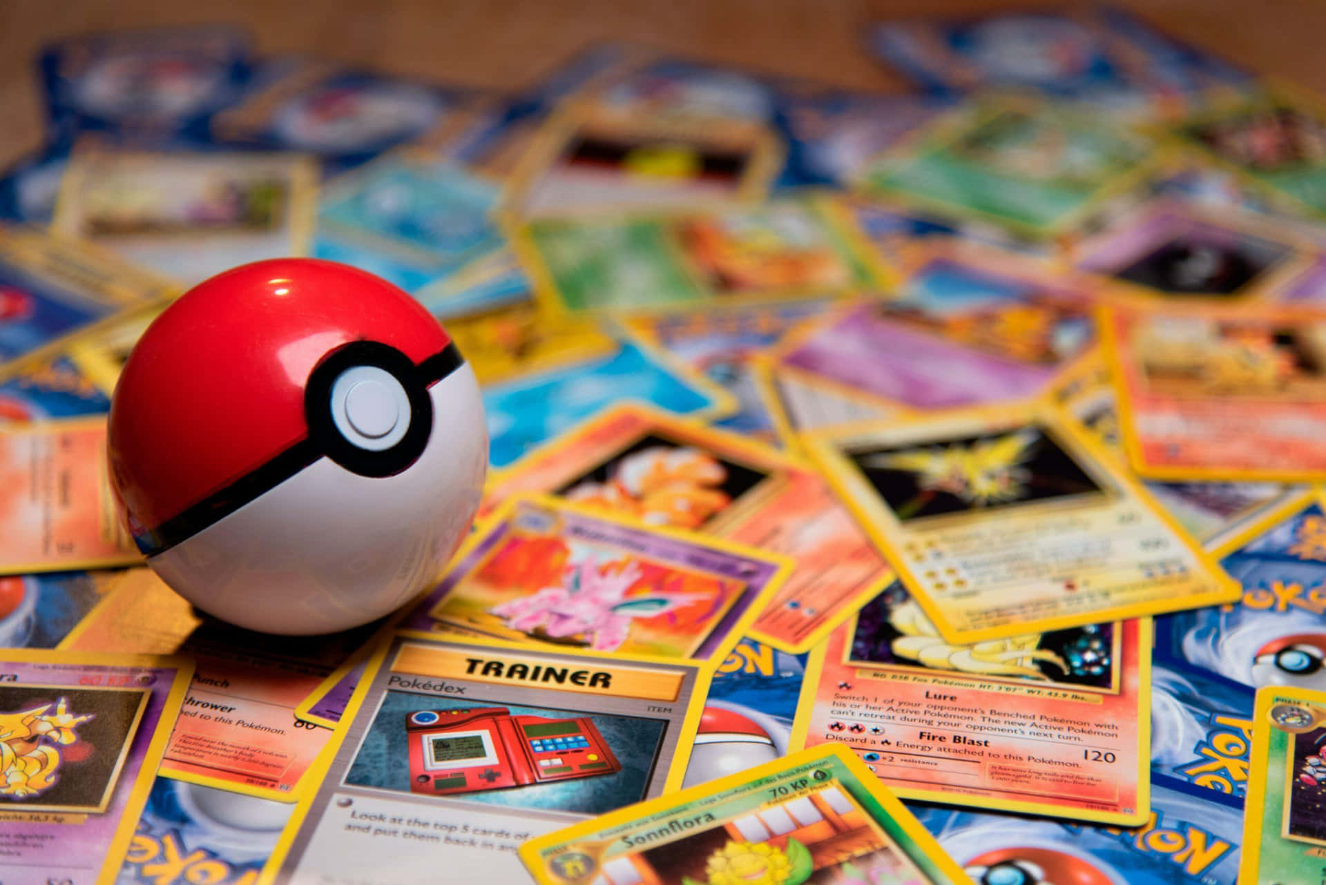 Discovery splash banner for Pokemon Restocks & News Discord server