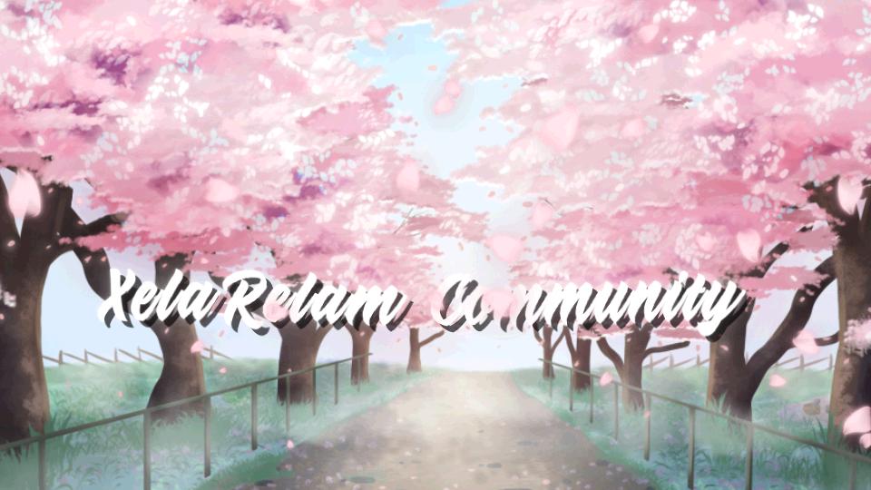 Discovery splash banner for XelaRelam Community~Coding, Revolutionizing the future of Programming and Roblox Developers! Discord server