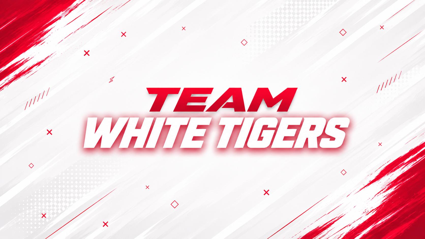 Discovery splash banner for Team White Tigers Discord server