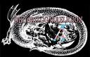 Discovery splash banner for Atheism and Friends Discord server