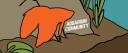 Discovery splash banner for Aquarium Community Discord server