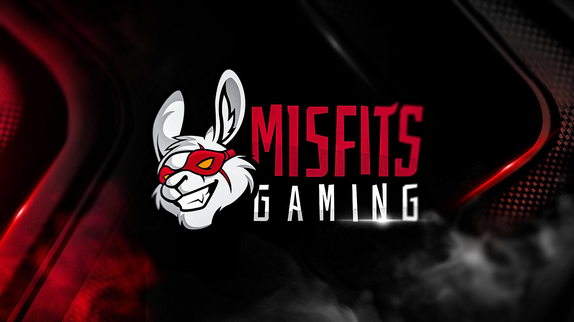 Discovery splash banner for Misfits Gaming Not Dayz Discord server