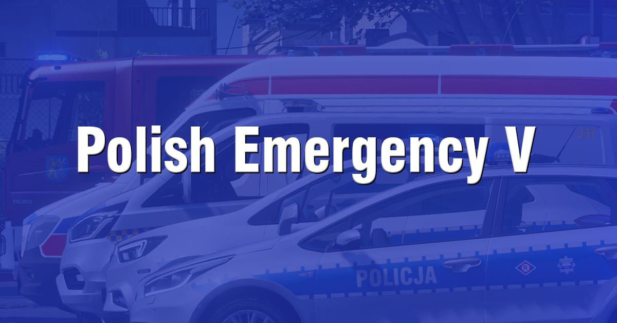 Discovery splash banner for PolishEmergencyV Discord server