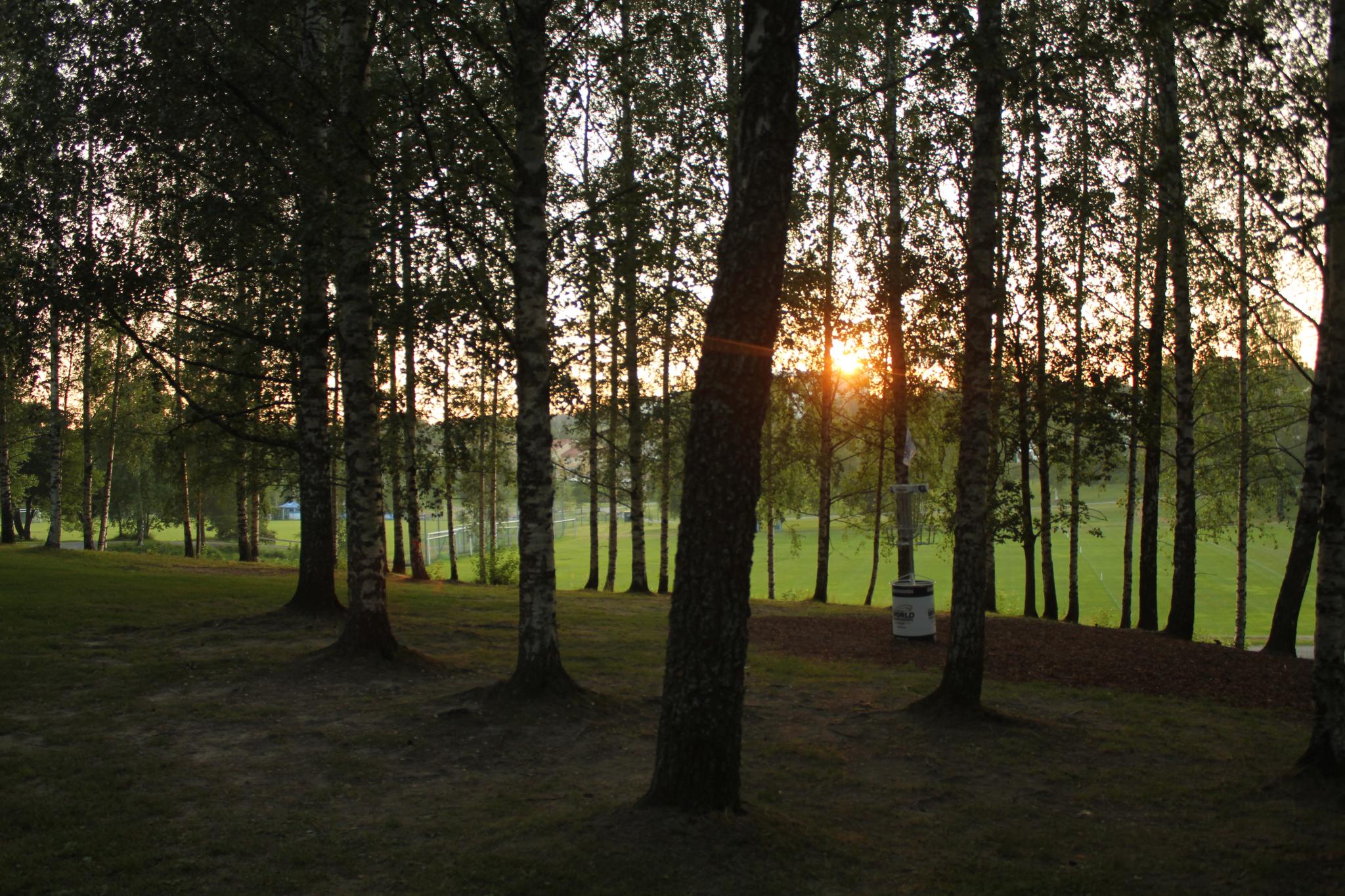 Discovery splash banner for Disc Golf @ Finland Discord server