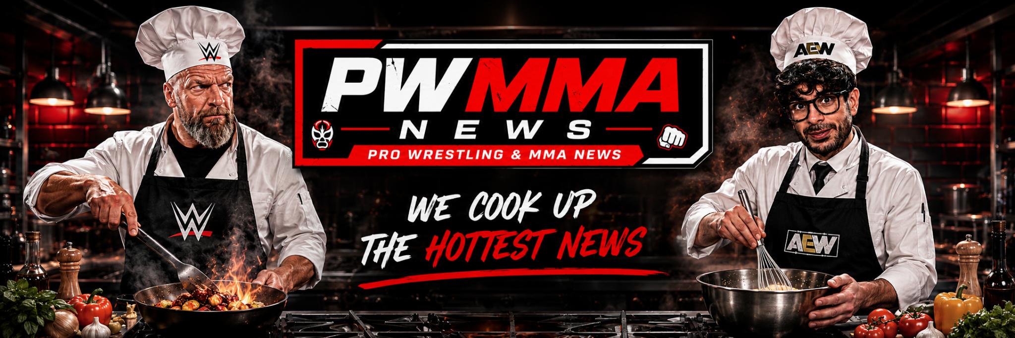 Discovery splash banner for Pro Wrestling & MMA News Discord server