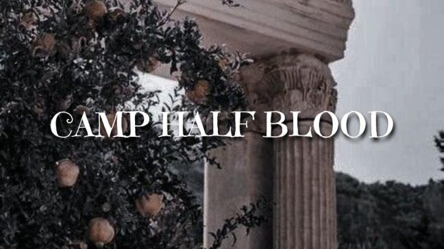 Discovery splash banner for Camp Half-Blood Discord server