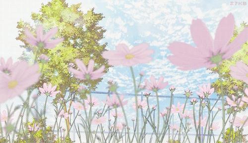 Discovery splash banner for ‧₊˚︰🌸Acquaint ꒱ Gaming & Hangout Discord server