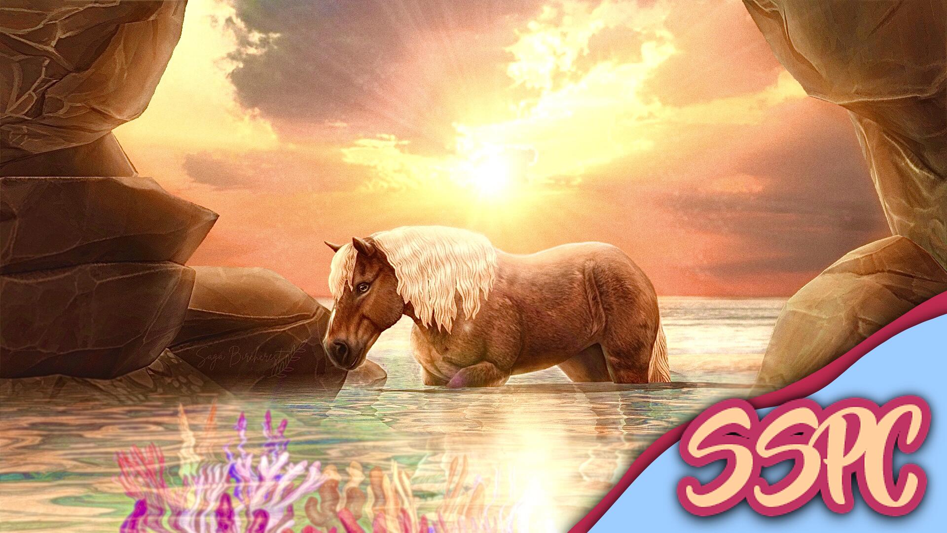 Discovery splash banner for Star Stable Photography Center Discord server
