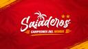 Discovery splash banner for ⭐⭐ ‹﹐Saladeros ²⁰²⁶ Discord server