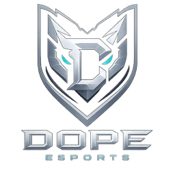 Discovery icon for DOPE ORGANIZATION Discord server