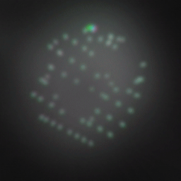 Discovery icon for Kaalateral Discord server