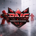 Discovery icon for RNG Rivals Discord server