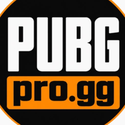 Discovery icon for PUBGPRO COMMUNITY Discord server