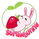 Discovery icon for 🍓BINGUS NATION🍓 Discord server